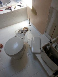 Remove Old Toilet