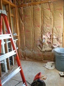 Bathroom Remodel: Demolition Stage