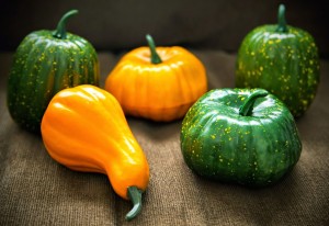 Buy faux pumpkins from the dollar store