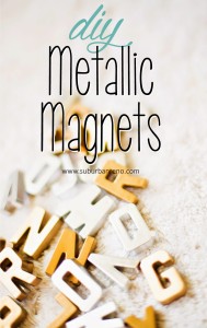 DIY Metallic Magnets